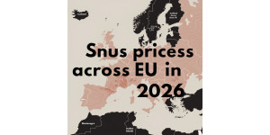 What influences snus price in 2026?